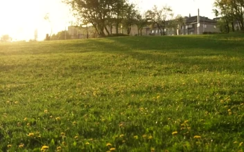 Stock Footage Young Children Holding Hands And Running Free