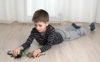 Stock Footage Young Boy Playing With A Toy Dinosaur Free