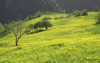 Stock Footage Woman Walking In A Mountain Valley Free