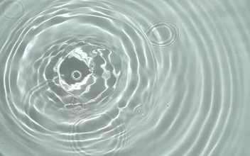 Stock Footage Yellow Lemon Floating In Water Free