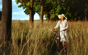 Stock Footage Woman Walking Bicycle Through Field Enjoys Afternoon Sun Free