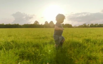 Stock Footage Young Boy Walking Through A Field Free