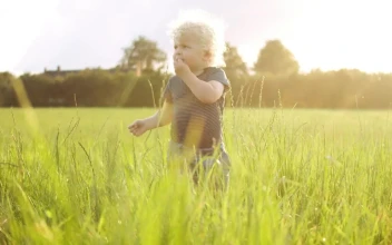 Stock Footage Young Boy Eating Grass Free