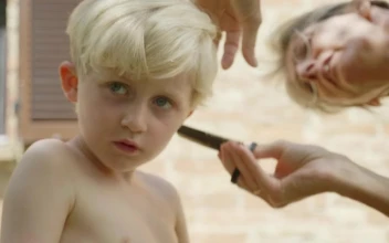 Stock Footage Young Man Having His Hair Cut Free
