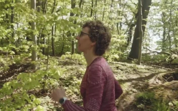 Stock Footage Woman Having A Run During Summer Free