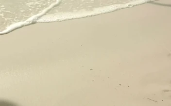 Stock Footage Writing A Love Sign At The Beach Free