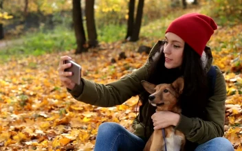 Stock Footage Woman Taking A Selfie With Her Dog Free