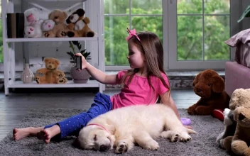 Stock Footage Young Child With A Puppy Taking A Selfie Free