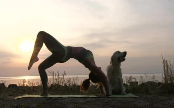 Stock Footage Woman Doing Yoga At The Beach Free