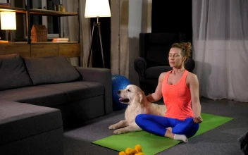 Stock Footage Woman Doing Yoga With Her Pet Dog Free