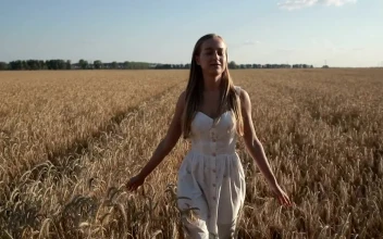Stock Footage Woman Walking In A Wheat Field Free