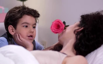 Stock Footage Young Boy Giving His Mother A Flower Free
