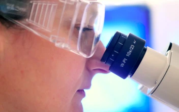 Stock Footage Woman Looking Into The Scope Of A Microscope Free