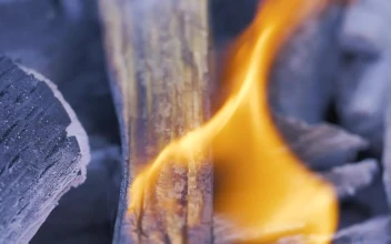 Stock Footage Wood Being Burned By Fire Free