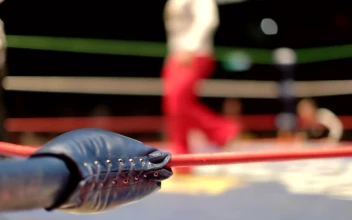 Stock Footage Wrestling Ring With Fighters Free