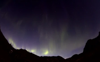 Stock Footage Yellow Northern Lights In Norway Free