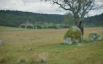 Stock Footage Woman Traveling Taking Photos In Nature Free