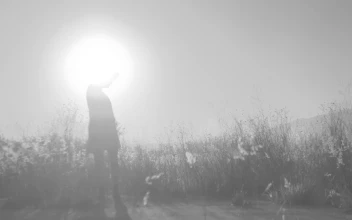 Stock Footage Women Dancing Against The Light In The Countryside Free