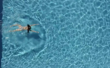 Stock Footage Woman In Bikini Swimming Free