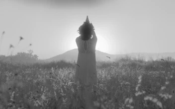 Stock Footage Woman Enjoying Nature Free