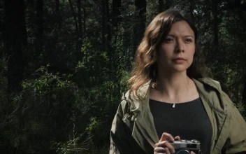 Stock Footage Woman Taking Photos In The Woods With Vintage Camera Free