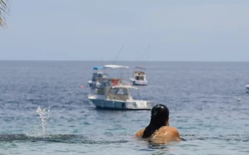 Stock Footage Woman Swimming In Ocean Pool Free