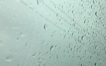 Rain Falling On Window Video