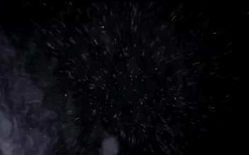 Ree Video Rain Falling Video