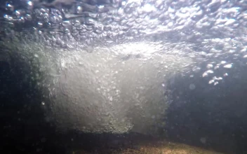 Underwater Bubbles Video