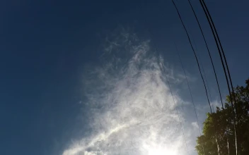 Telephone Wires Video