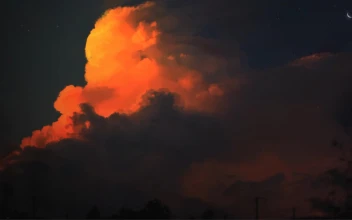 Clouds, Sky, Plane, Birds, Moon, Night, Dark,