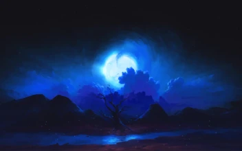 Field of Blue