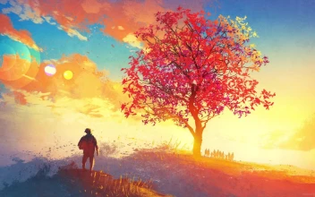 Desktop Autumn Sunrise