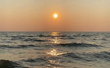 Sunrise Beach Water 4K Live Phone Wallpaper