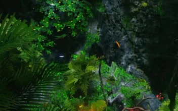Android  iPhone Hidden Valley for Phone