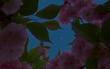 Android and iPhone Full Moon And Sakura Sky Phone