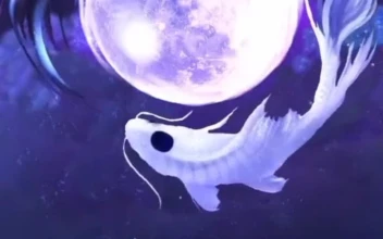 Android  iOS iPhone  Anime fish moon ice people