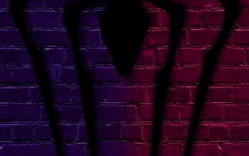 Live Phone Spiderman Miles Morales Upside Down Wallpaper To iPhone And Android