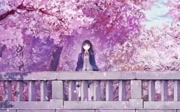 Live Phone Couple On Bridge With Cherry Blossom Anime Wallpaper For iPhone And Android