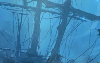 Live Phone Underwater Shipwreck Wallpaper To iPhone And Android