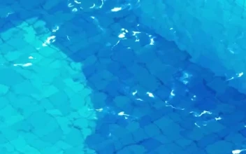 Live Phone Water Ripples At Swimming Pool Wallpaper To iPhone And Android
