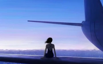iPhone and Android Girl On Airplane Wing Live Phone Wallpaper