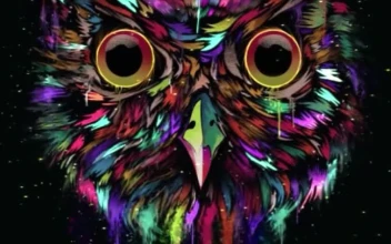 iPhone and Android Owl Paint Minimalist Live Phone Wallpaper