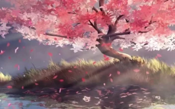 iPhone and Android Lone Cherry Blossom Tree Live Phone Wallpaper