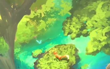 Forest Fox Waterfall Fall Wallpaper Iphone