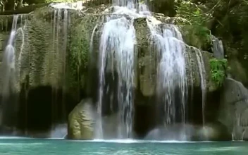 iPhone  Android Waterfall Nature Landscape Phone