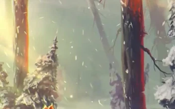 iPhone  Android Fox Walking In The Winter Forest Phone