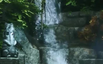Waterfall Fall Wallpaper Iphone