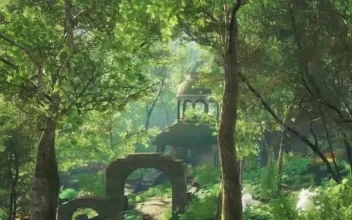 Free a walk through the woods for android wallpaper