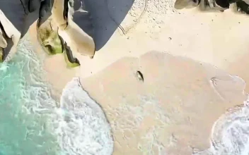 Love Sea Shore For Phone